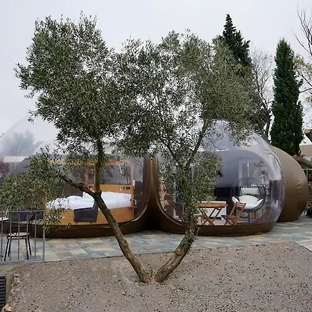 Zielo De Levante Tirig